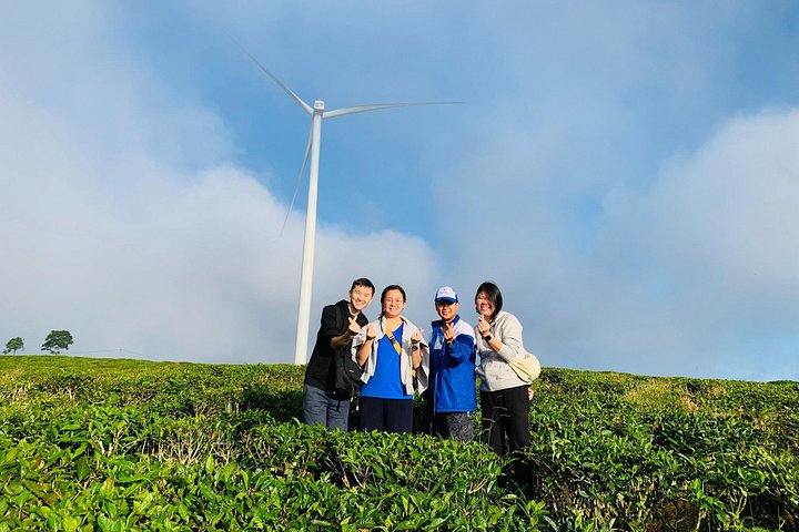 Soluppgång, moln, tefält och vindkraftverk i Da Lat, Vietnam, foto 28 | wizardtrip