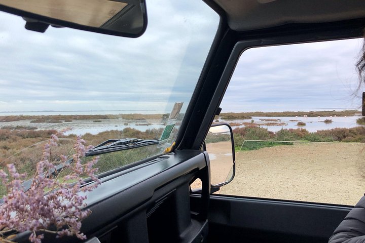 4x4 safari-eventyr i Camargue, Frankrike, som utforsker dyreliv og landskap, foto 6 | wizardtrip