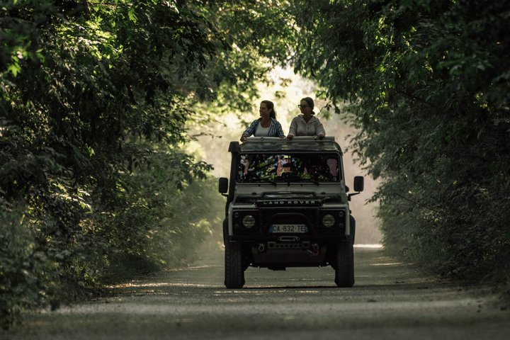 4x4 safari-eventyr i Camargue, Frankrike, som utforsker dyreliv og landskap, foto 10 | wizardtrip