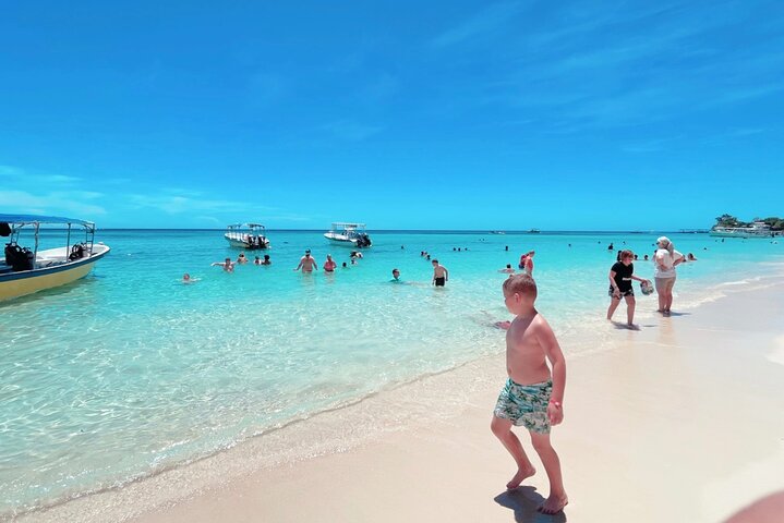 Roatan Singes & Paresseux + Dégustation Chocolat & Rhum + Pause Plage | wizardtrip