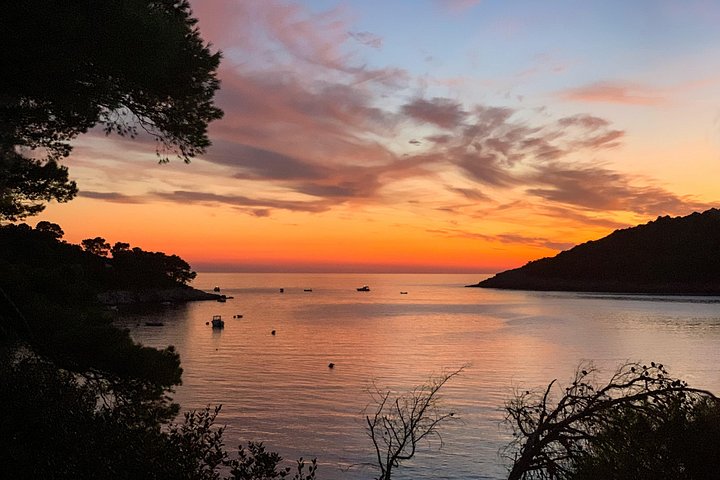 Boat tour to Mljet National Park and Croatian islands from Dubrovnik, photo 7 | wizardtrip