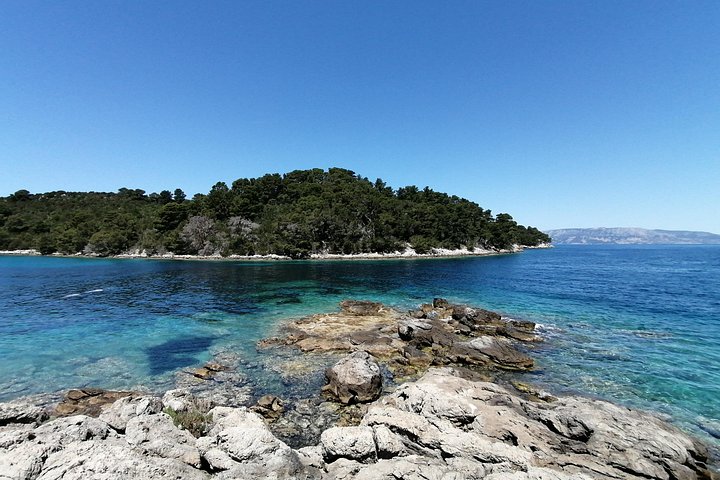 Boat tour to Mljet National Park and Croatian islands from Dubrovnik, photo 10 | wizardtrip