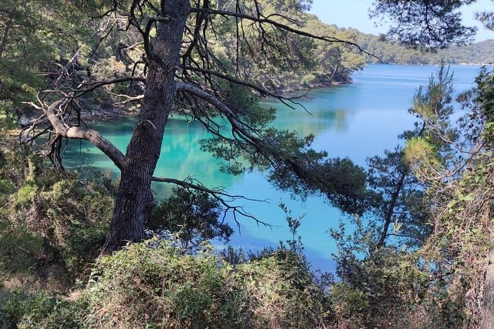 Boat tour to Mljet National Park and Croatian islands from Dubrovnik, photo 16 | wizardtrip