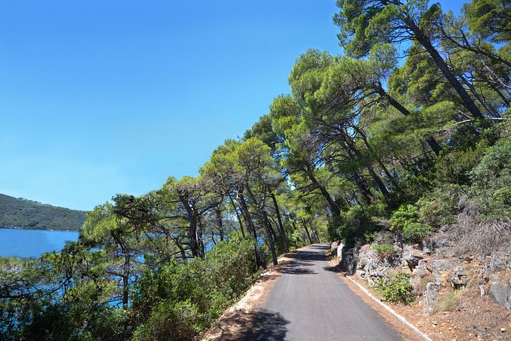 Boat tour to Mljet National Park and Croatian islands from Dubrovnik, photo 21 | wizardtrip