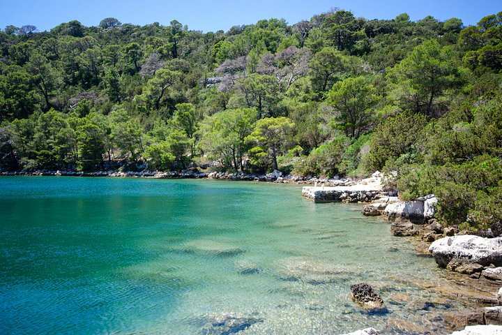 Boat tour to Mljet National Park and Croatian islands from Dubrovnik, photo 24 | wizardtrip