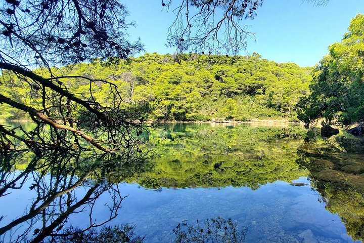Boat tour to Mljet National Park and Croatian islands from Dubrovnik, photo 31 | wizardtrip