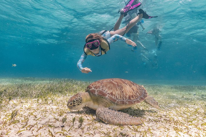 Privé catamaran zeiltocht in Cozumel met snorkelen en paddleboarden, foto 14 | wizardtrip