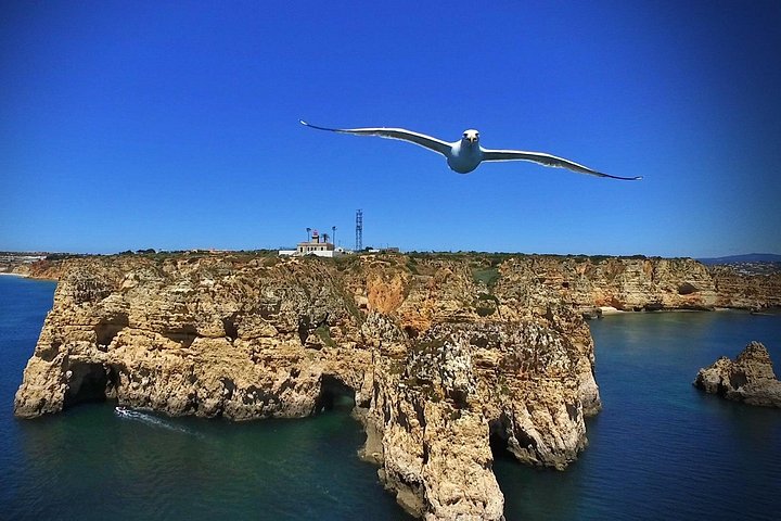 Milieuvriendelijke tuk-tuk tour die de historische oude stad, nieuwe wijken en schilderachtige stranden van Lagos, Portugal verkent, foto 18 | wizardtrip