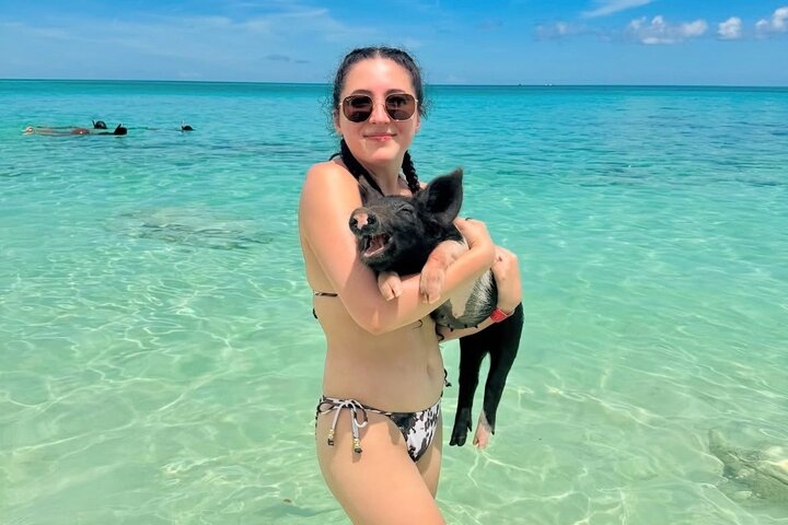 Zwemvarkens van Nassau en Privéstrandclub Ontsnapping | wizardtrip