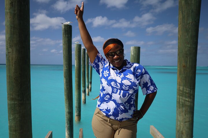 Swim with friendly pigs on a beautiful Bahamian beach, photo 9 | wizardtrip