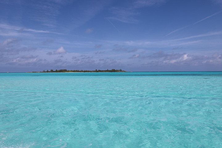 Swim with friendly pigs on a beautiful Bahamian beach, photo 18 | wizardtrip