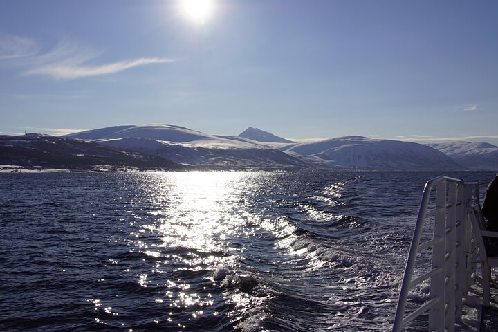Naturskøn sejltur gennem arktiske fjorde nær Tromsø, Norge, med muligheder for fiskeri og dyreliv, foto 10 | wizardtrip