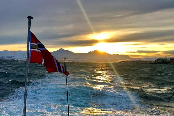 Naturskøn sejltur gennem arktiske fjorde nær Tromsø, Norge, med muligheder for fiskeri og dyreliv, foto 11 | wizardtrip