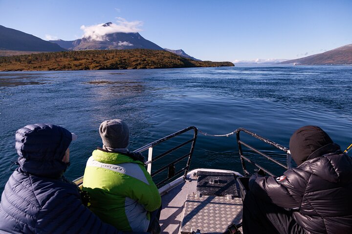 Naturskøn sejltur gennem arktiske fjorde nær Tromsø, Norge, med muligheder for fiskeri og dyreliv, foto 13 | wizardtrip