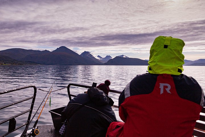 Naturskøn sejltur gennem arktiske fjorde nær Tromsø, Norge, med muligheder for fiskeri og dyreliv, foto 15 | wizardtrip