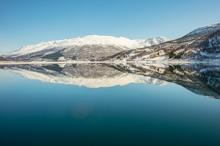 Naturskøn sejltur gennem arktiske fjorde nær Tromsø, Norge, med muligheder for fiskeri og dyreliv, foto 18 | wizardtrip
