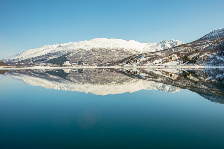 Naturskøn sejltur gennem arktiske fjorde nær Tromsø, Norge, med muligheder for fiskeri og dyreliv, foto 20 | wizardtrip