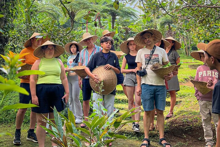 Praktische Balinese kookklas in Ubud, Indonesië, met verse ingrediënten en lokale gerechten, foto 7 | wizardtrip