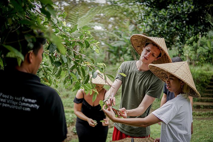 Praktische Balinese kookklas in Ubud, Indonesië, met verse ingrediënten en lokale gerechten, foto 20 | wizardtrip