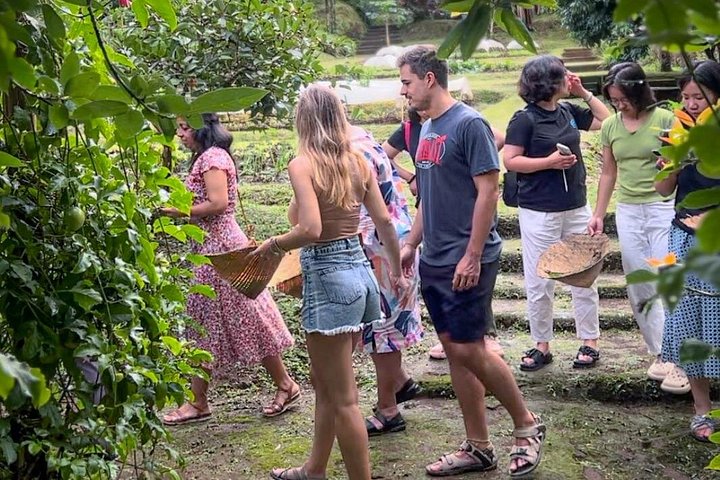 Praktische Balinese kookklas in Ubud, Indonesië, met verse ingrediënten en lokale gerechten, foto 25 | wizardtrip