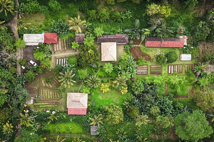 Praktische Balinese kookklas in Ubud, Indonesië, met verse ingrediënten en lokale gerechten, foto 44 | wizardtrip