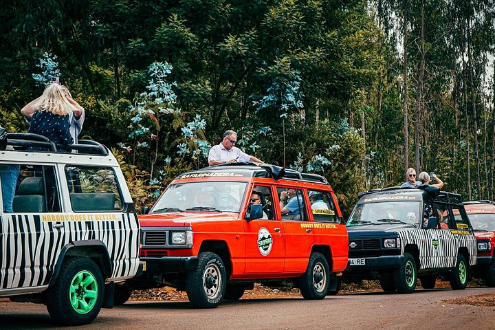 Jeep-safarieventyr som utforsker Fanal-skogen, Porto Moniz-bassengene og Cabo Girão-utsiktspunktet på Madeira, foto 9 | wizardtrip