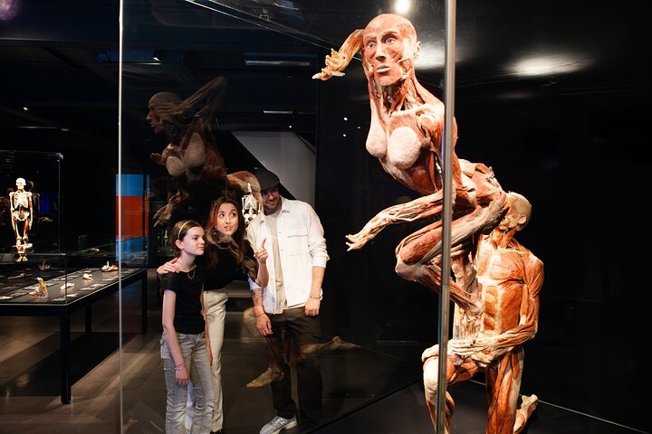 Explore o corpo humano na exposição Body Worlds Amesterdão, foto 6 | wizardtrip