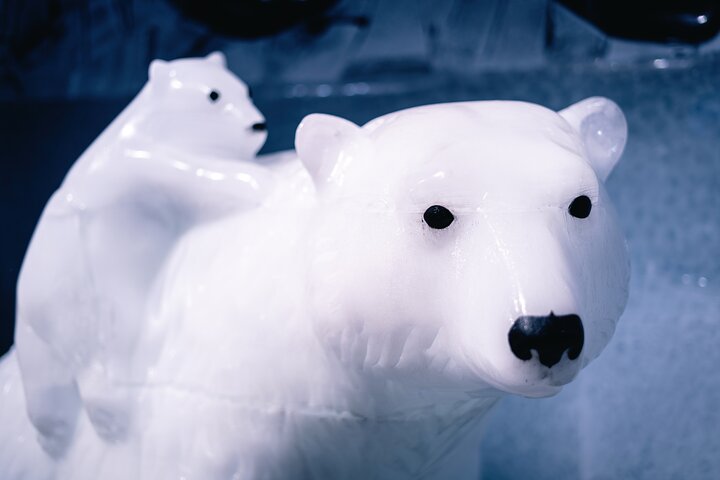 Scopri l'unico Icebar di Berlino con le sue sculture di ghiaccio e drink inclusi, foto 6 | wizardtrip