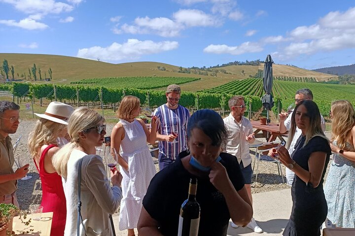A scenic tour of Yarra Valley's wineries, distilleries, and chocolate factories from Melbourne, photo 17 | wizardtrip
