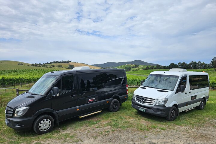 A scenic tour of Yarra Valley's wineries, distilleries, and chocolate factories from Melbourne, photo 38 | wizardtrip