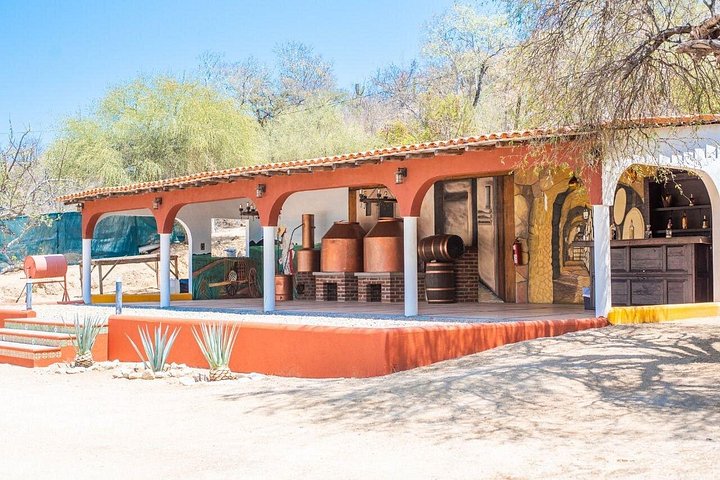 Vivi un'avventura zipline eco-adrenalinica con viste mozzafiato a Los Cabos, Messico, foto 9 | wizardtrip