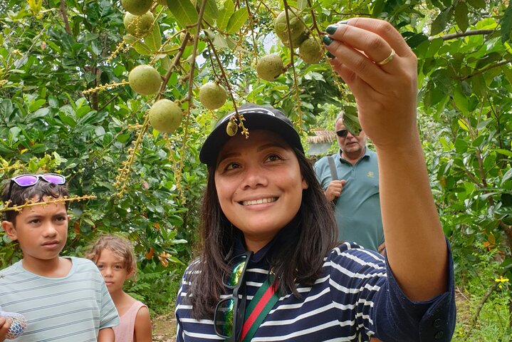 Privat tur til Cu Chi Tunnelerne og Mekong Delta fra Ho Chi Minh City, foto 23 | wizardtrip