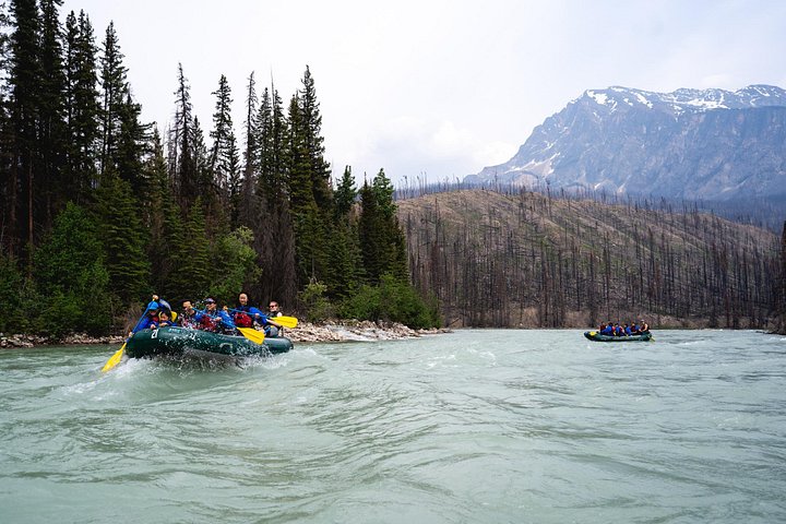 Aventure de rafting en eaux vives sur la rivière Athabasca dans le parc national de Jasper, Canada, photo 10 | wizardtrip
