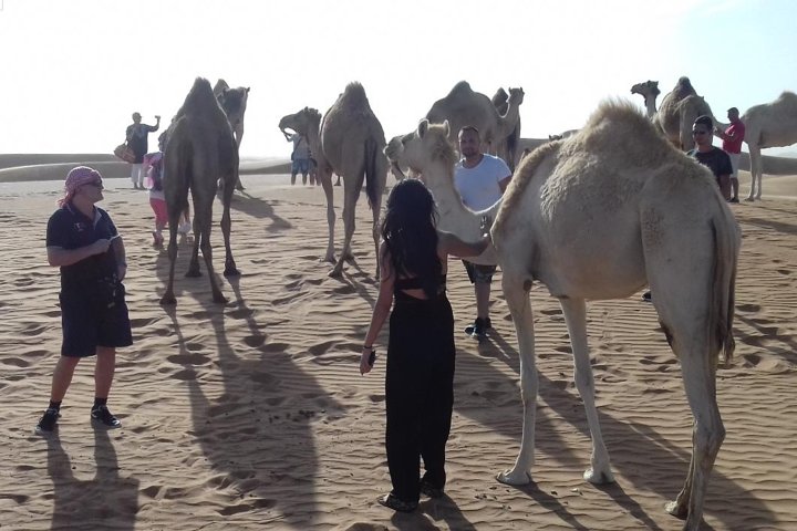 Ervaar een spannende woestijnsafari in Dubai met dune bashing, kameelritten en een BBQ-diner, foto 26 | wizardtrip