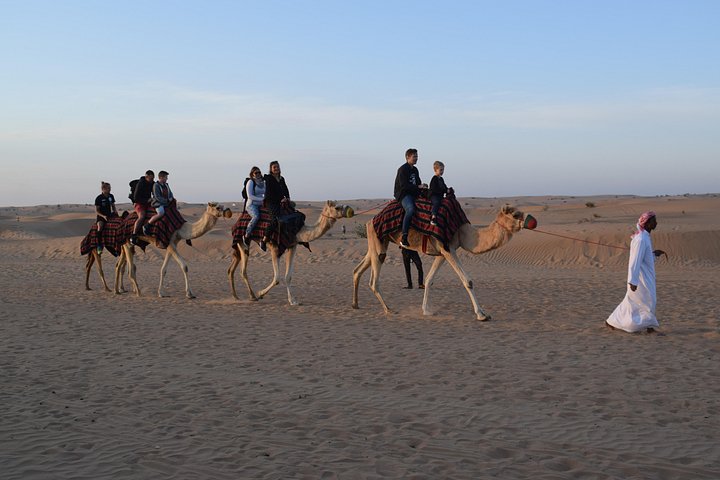Ervaar een spannende woestijnsafari in Dubai met dune bashing, kameelritten en een BBQ-diner, foto 28 | wizardtrip