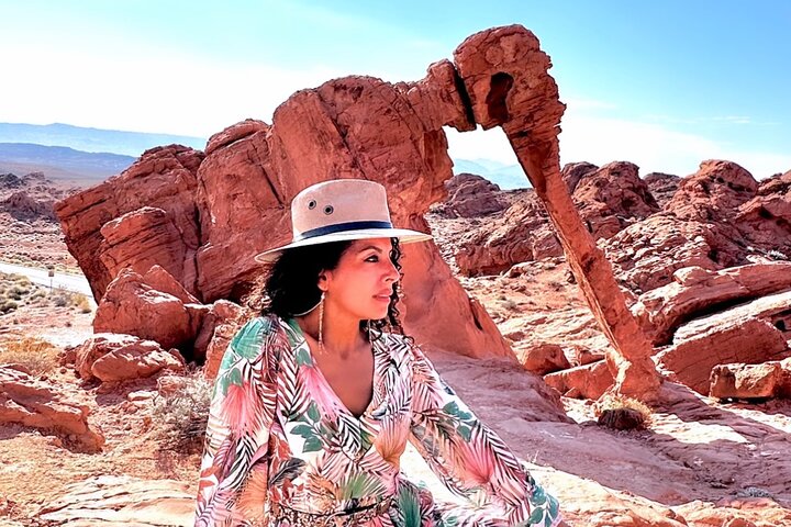 Tour di un giorno nella Valle del Fuoco e nel Red Rock Canyon da Las Vegas, che mostra uniche formazioni di arenaria e paesaggi desertici, foto 6 | wizardtrip