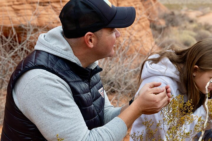 Tour di un giorno nella Valle del Fuoco e nel Red Rock Canyon da Las Vegas, che mostra uniche formazioni di arenaria e paesaggi desertici, foto 12 | wizardtrip