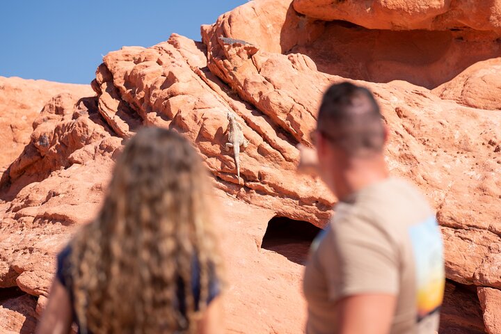 Tour di un giorno nella Valle del Fuoco e nel Red Rock Canyon da Las Vegas, che mostra uniche formazioni di arenaria e paesaggi desertici, foto 19 | wizardtrip