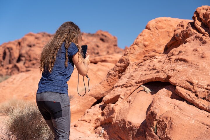 Tour di un giorno nella Valle del Fuoco e nel Red Rock Canyon da Las Vegas, che mostra uniche formazioni di arenaria e paesaggi desertici, foto 21 | wizardtrip