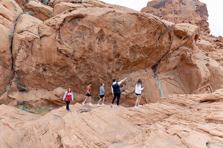 Tour di un giorno nella Valle del Fuoco e nel Red Rock Canyon da Las Vegas, che mostra uniche formazioni di arenaria e paesaggi desertici, foto 33 | wizardtrip