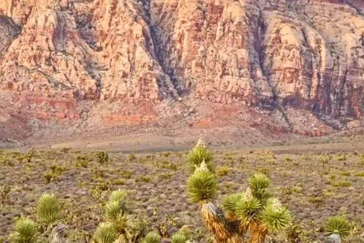 Tour di un giorno nella Valle del Fuoco e nel Red Rock Canyon da Las Vegas, che mostra uniche formazioni di arenaria e paesaggi desertici, foto 36 | wizardtrip