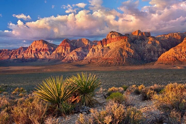 Tour di un giorno nella Valle del Fuoco e nel Red Rock Canyon da Las Vegas, che mostra uniche formazioni di arenaria e paesaggi desertici, foto 38 | wizardtrip