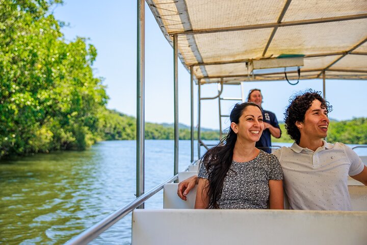 Excursión de un día a la selva tropical de Daintree y Cape Tribulation desde Cairns | wizardtrip