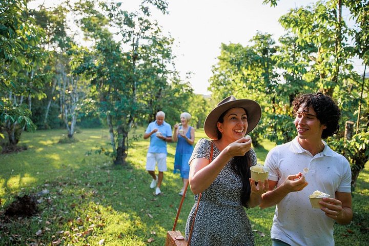 Explora la antigua selva tropical de Daintree, navega por el río Daintree y relájate en la playa de Cape Tribulation en este tour de día completo desde Cairns, foto 8 | wizardtrip