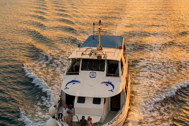 Bootstour in Pula, Kroatien, mit Delfinbeobachtung und Sonnenuntergang über dem Nationalpark Brijuni, Foto 6 | wizardtrip