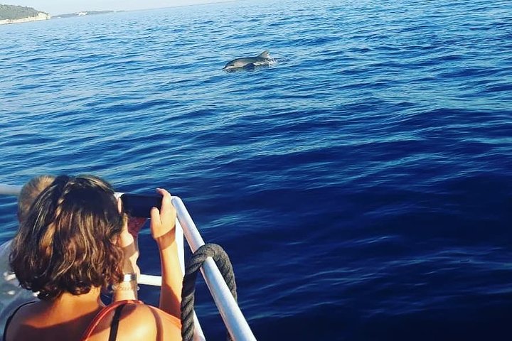 Bootstour in Pula, Kroatien, mit Delfinbeobachtung und Sonnenuntergang über dem Nationalpark Brijuni, Foto 8 | wizardtrip
