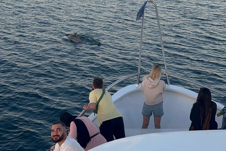 Bootstour in Pula, Kroatien, mit Delfinbeobachtung und Sonnenuntergang über dem Nationalpark Brijuni, Foto 12 | wizardtrip