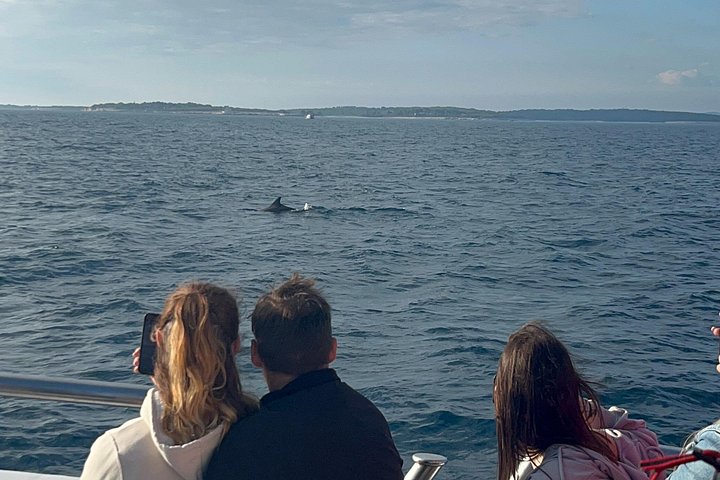 Bootstour in Pula, Kroatien, mit Delfinbeobachtung und Sonnenuntergang über dem Nationalpark Brijuni, Foto 13 | wizardtrip