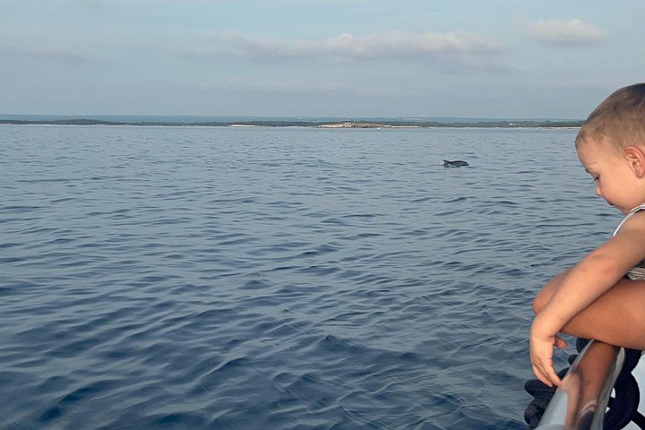 Bootstour in Pula, Kroatien, mit Delfinbeobachtung und Sonnenuntergang über dem Nationalpark Brijuni, Foto 14 | wizardtrip