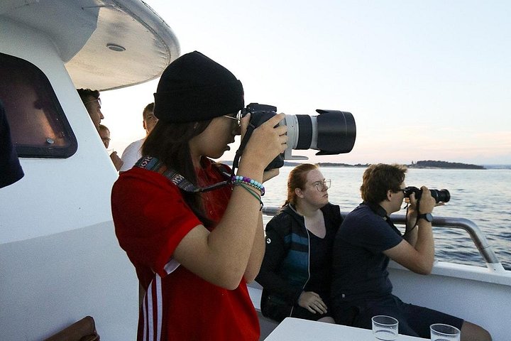 Bootstour in Pula, Kroatien, mit Delfinbeobachtung und Sonnenuntergang über dem Nationalpark Brijuni, Foto 20 | wizardtrip